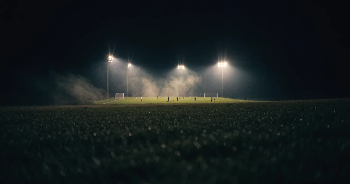 Ein Stadion unter Flutlicht, aus großer Entfernung über eine dunkle Wiese fotografiert, am Himmel zieht Nebel auf.